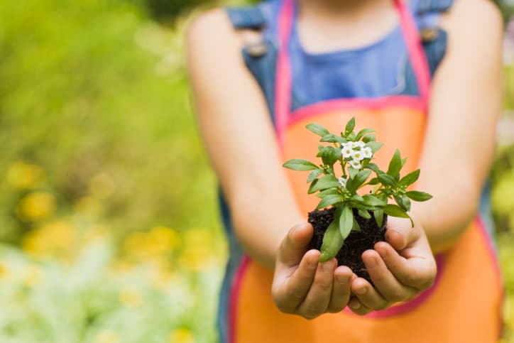 5 consejos básicos que debes saber para cuidar tu jardín