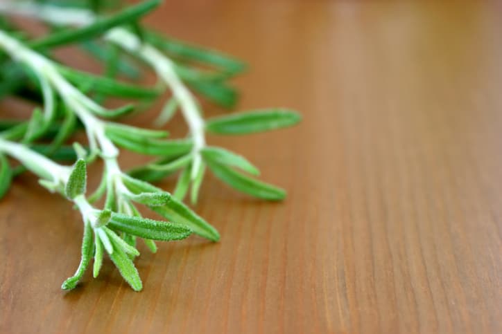 El romero: beneficios para la salud