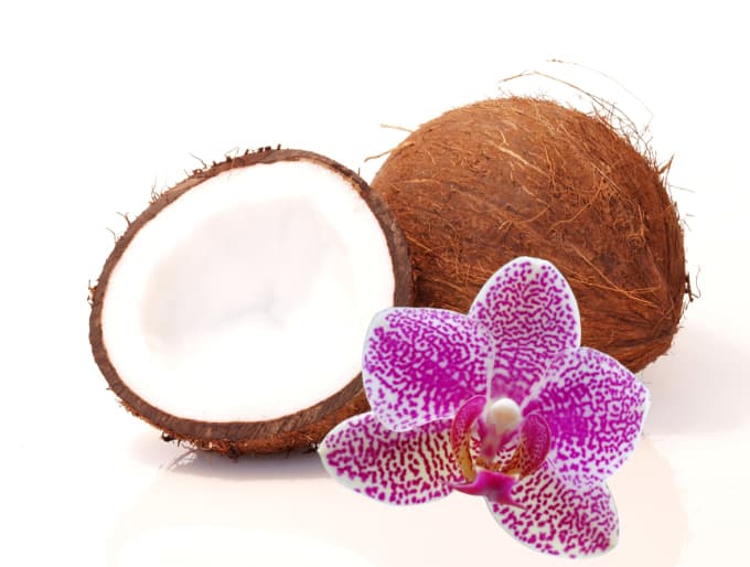 Beneficios del agua de coco: mitos y verdades