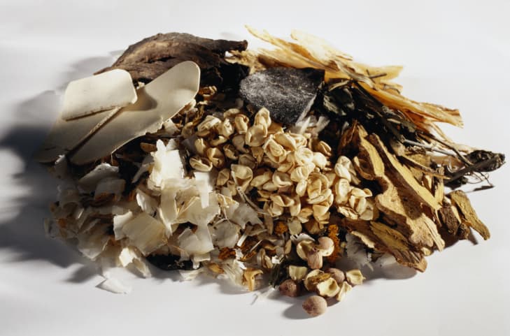 Cómo recolectar las plantas medicinales  