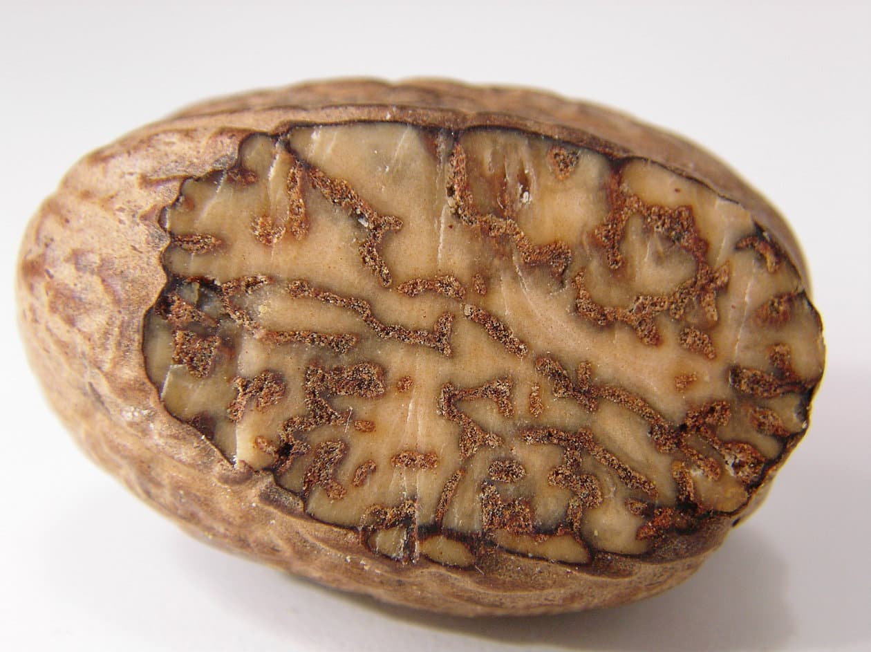 Propiedades del macis