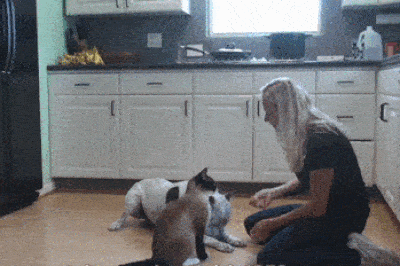 5 razones importantes por las que tus hijos deberían tener una mascota