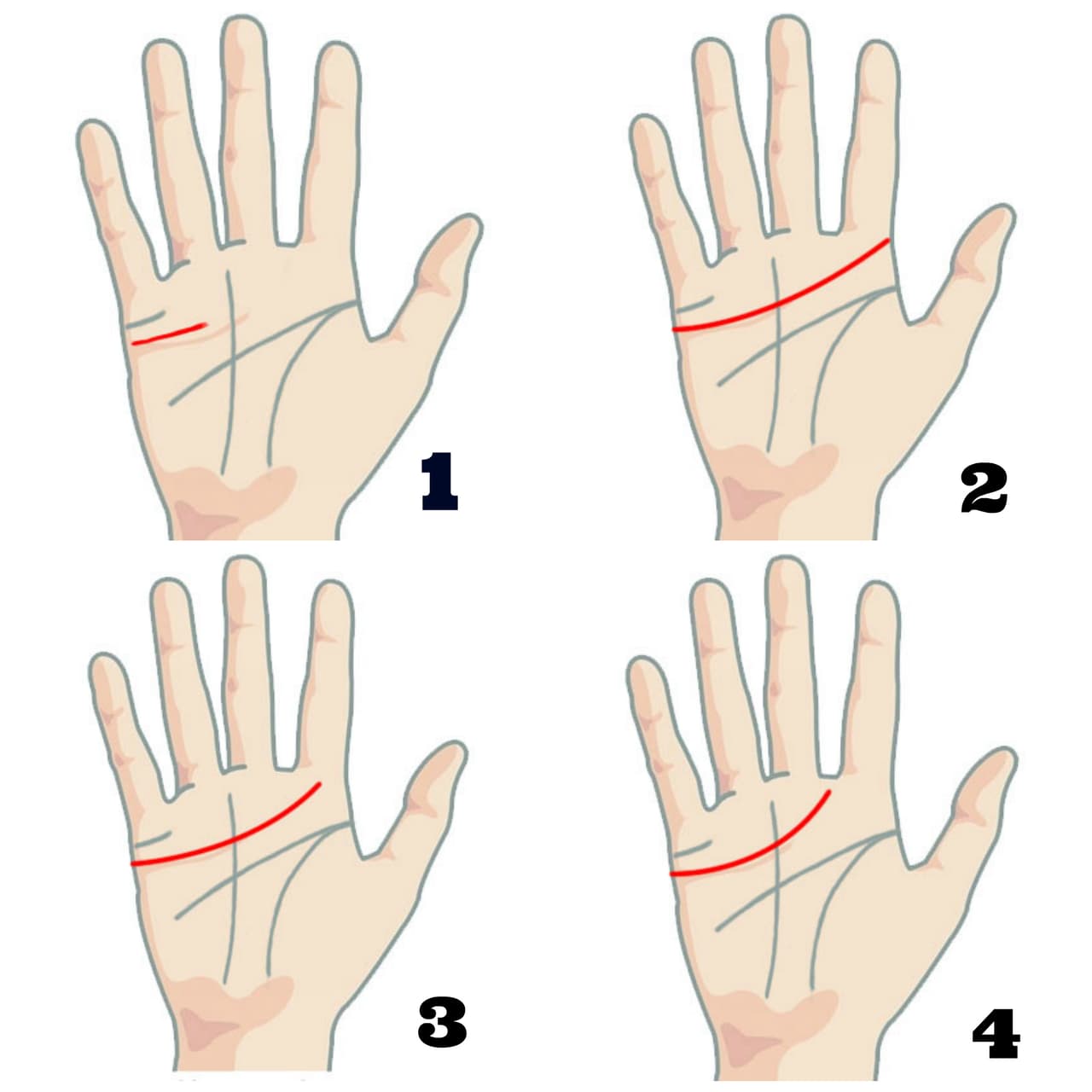 Esto es lo que dicen sobre ti las líneas en las palmas de tus manos. ¡Te sorprenderá!