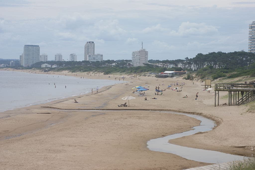 Las playas de Maldonado en alerta a causa del pez sapo ¡Mira qué precauciones tomar!