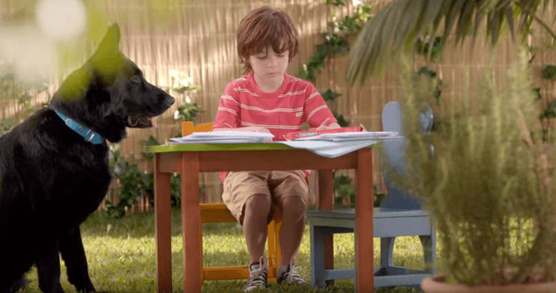 La emotiva campaña de Crufi que nos invita a reflexionar ¡mirala!