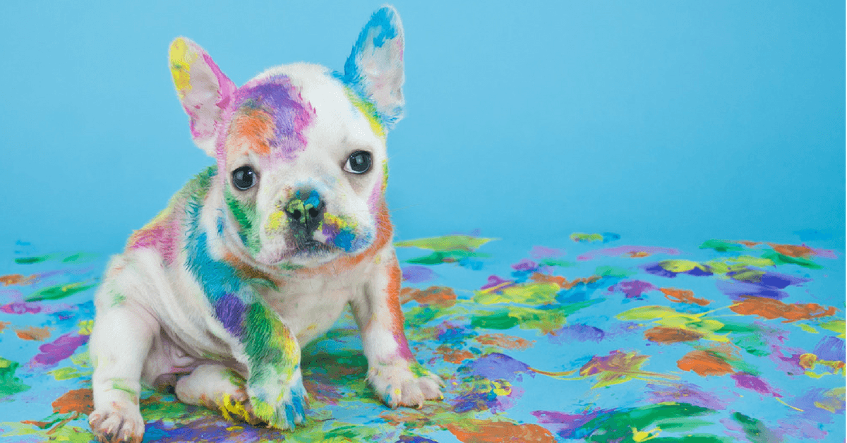 Si tienes un perro seguro que estas 8 cosas afectan tu vida sentimental