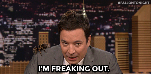 Este es el MEJOR invento que puede existir para las ARACNOFÓBICAS