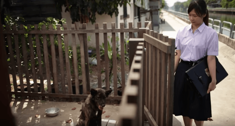 Esta historia entre un perro y una chica te conmoverá hasta las lágrimas