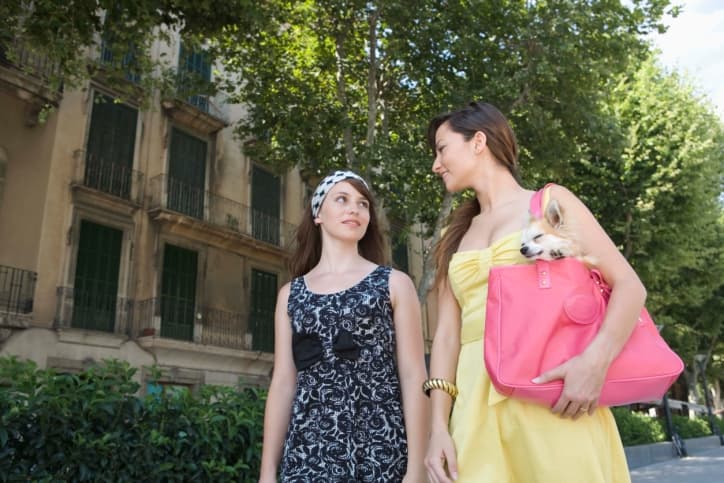 La moda sí incomoda: Maxibolsos