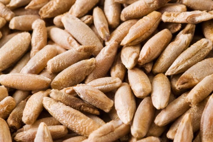 ¿Qué es el manganeso?  