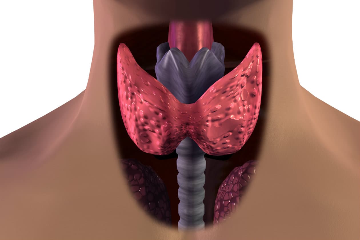 ¿Por qué tengo canas si soy joven?