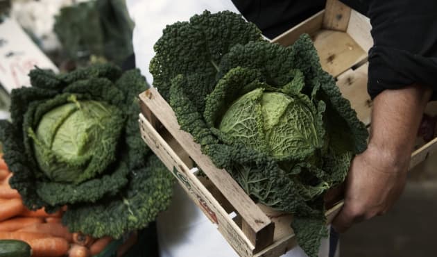 5 recetas para cocinar con kale