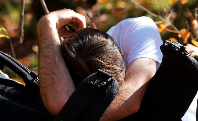 Alimentos ricos en zinc