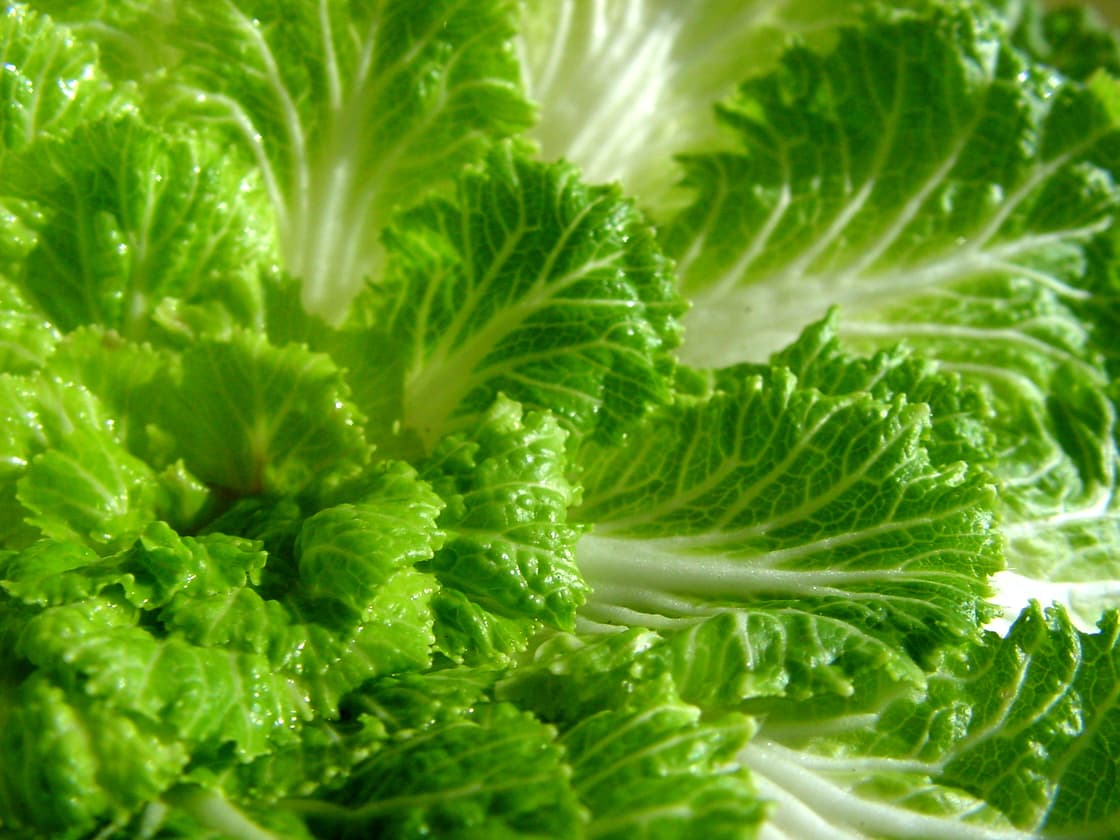 7 alimentos que aún puedes utilizar aunque estén marchitos