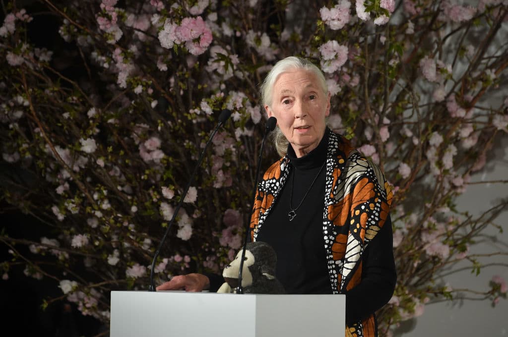 5 madres que fueron importantes científicas (y no lo imaginabas)