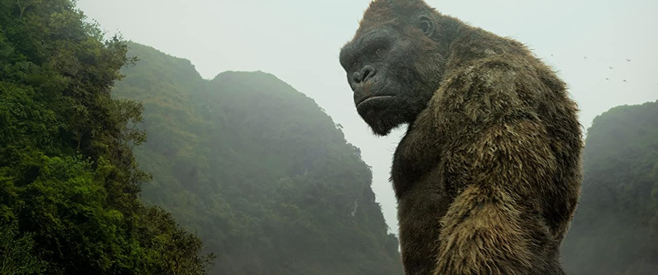 King Kong cuadruplicó su tamaño para enfrentarse a Godzilla, pero tiene una lógica explicación