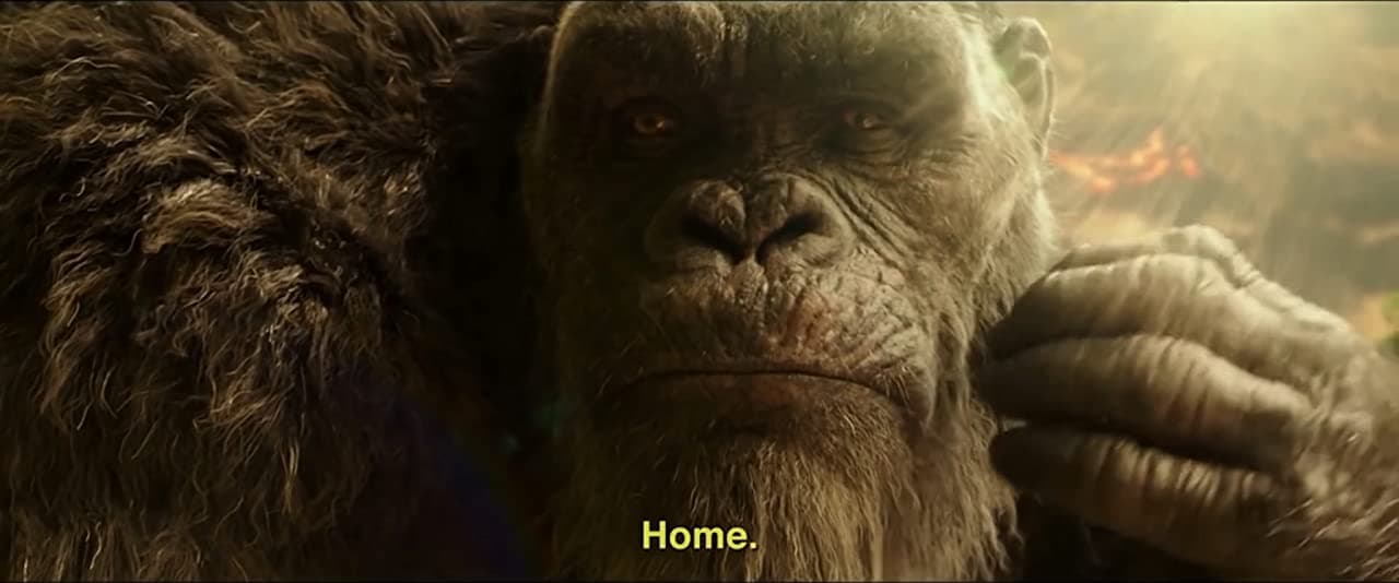 Kong se quedó sin hogar por culpa de Ghidorah: ¿lo enfrentará en alguna película?