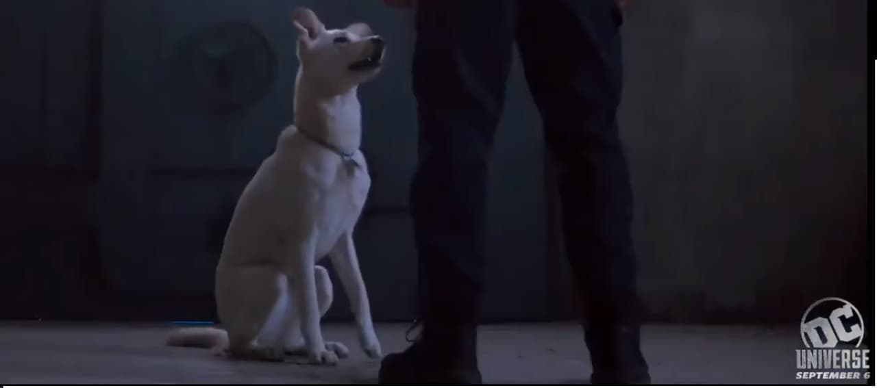 'Titans' estrenó avance y por fin podemos ver a Bruce Wayne en toda su batigloria