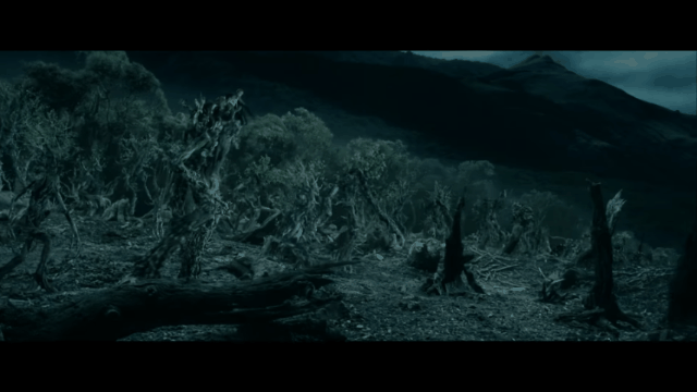 ¿Árboles que caminan en Ecuador? Esta es la explicación científica del misterioso fenómeno