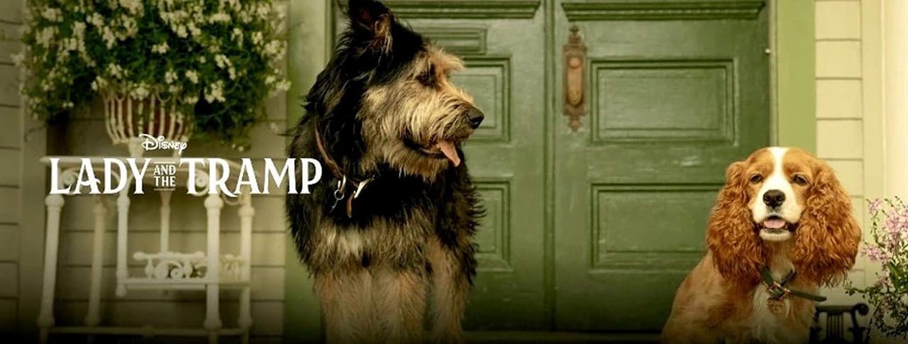 Disney prepara un live actión para 'La dama y el vagabundo': aquí sus peludos protagonistas