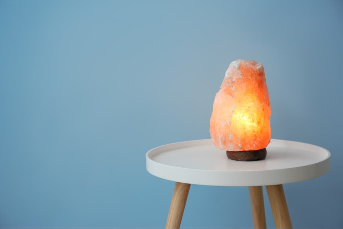 Veterinarios advierten que lámparas de sal pueden ser peligrosas para tu mascota