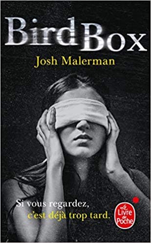 Este es el verdadero final de Bird Box que no pudimos ver por ser demasiado crudo y realista