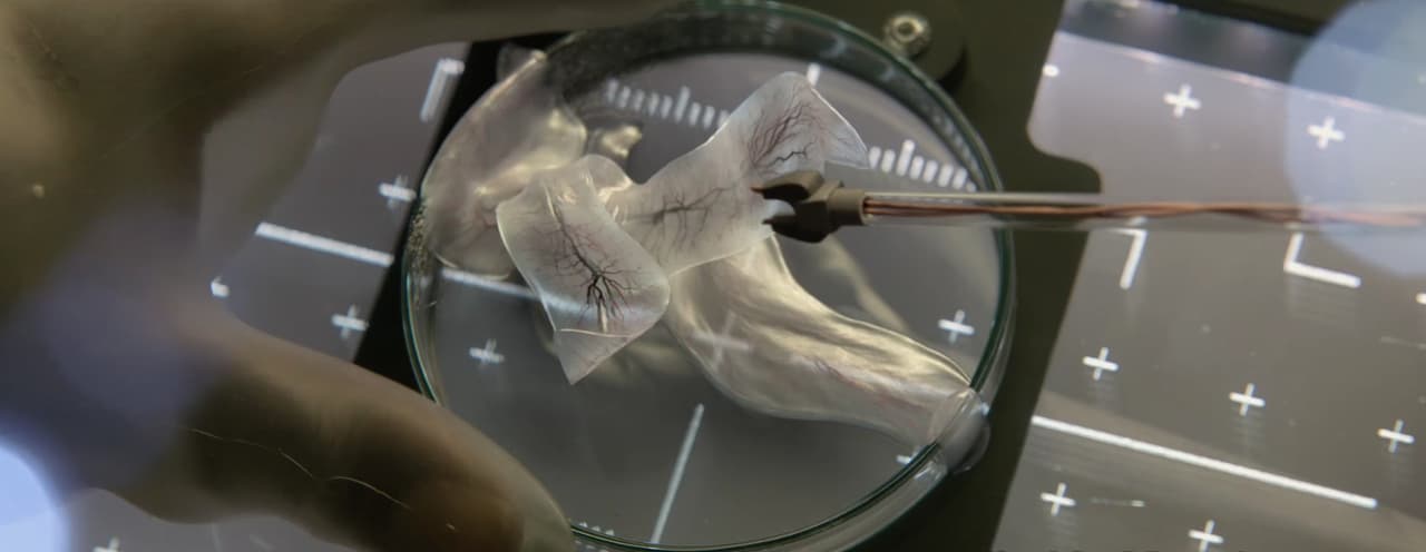 Life: Un alienígena bastante peculiar llena de terror este intenso adelanto