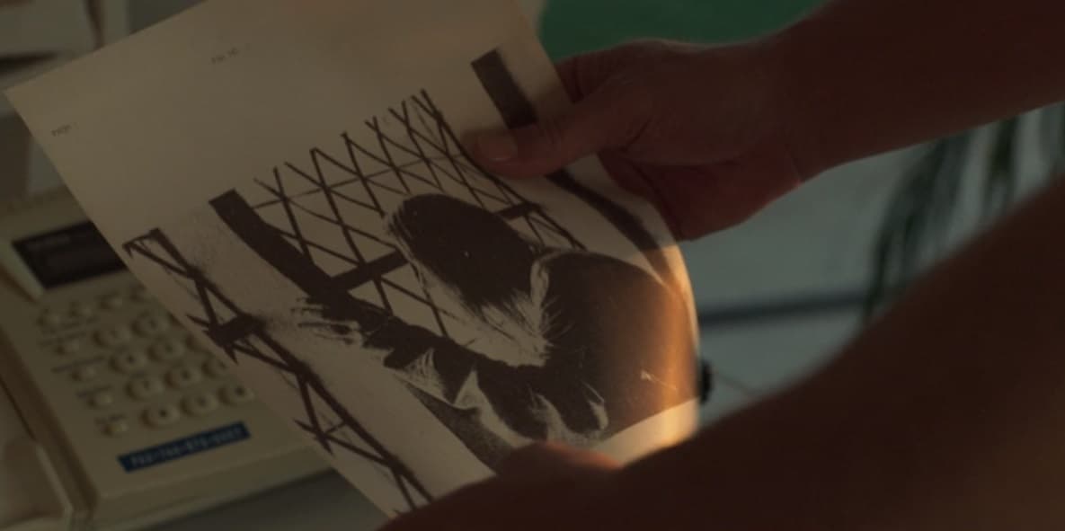 ¿Quién le ayudó a Luismi a encontrar a Marcela? Conoce la agencia a la que acudió en la vida real