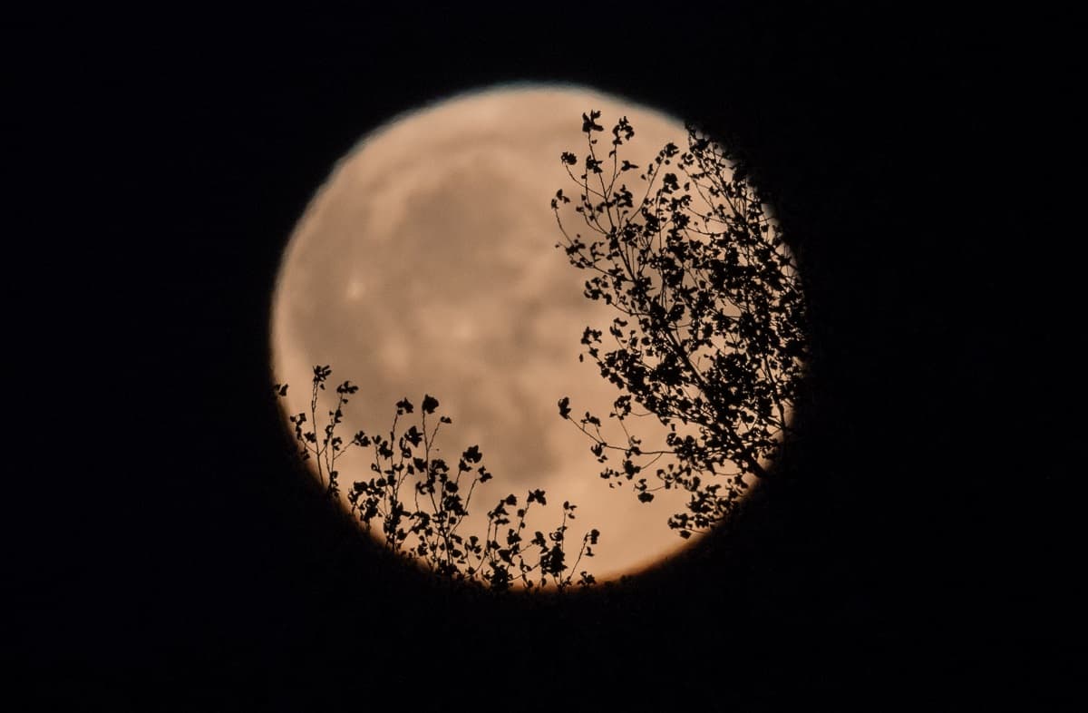  ¿Te perdiste la superluna? No hay problema: se vienen dos más y te contamos cuándo