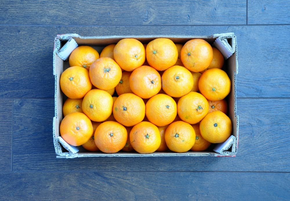 Rejuvenece y previene la hipertensión: los beneficios de la vitamina C que no conocías