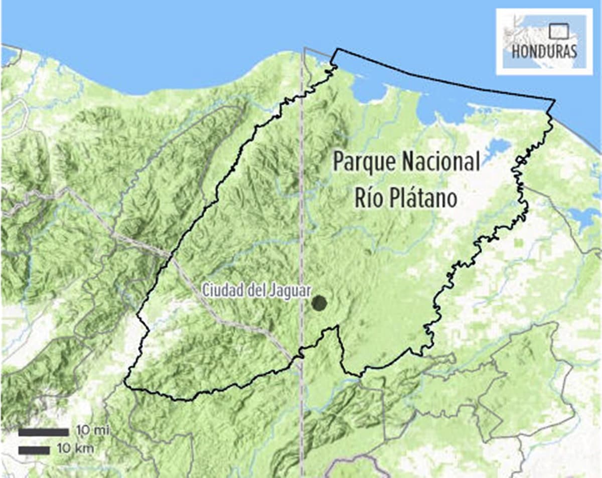 Creían que todas estas especies estaban extintas, pero se escondían del hombre en la "Ciudad Blanca"