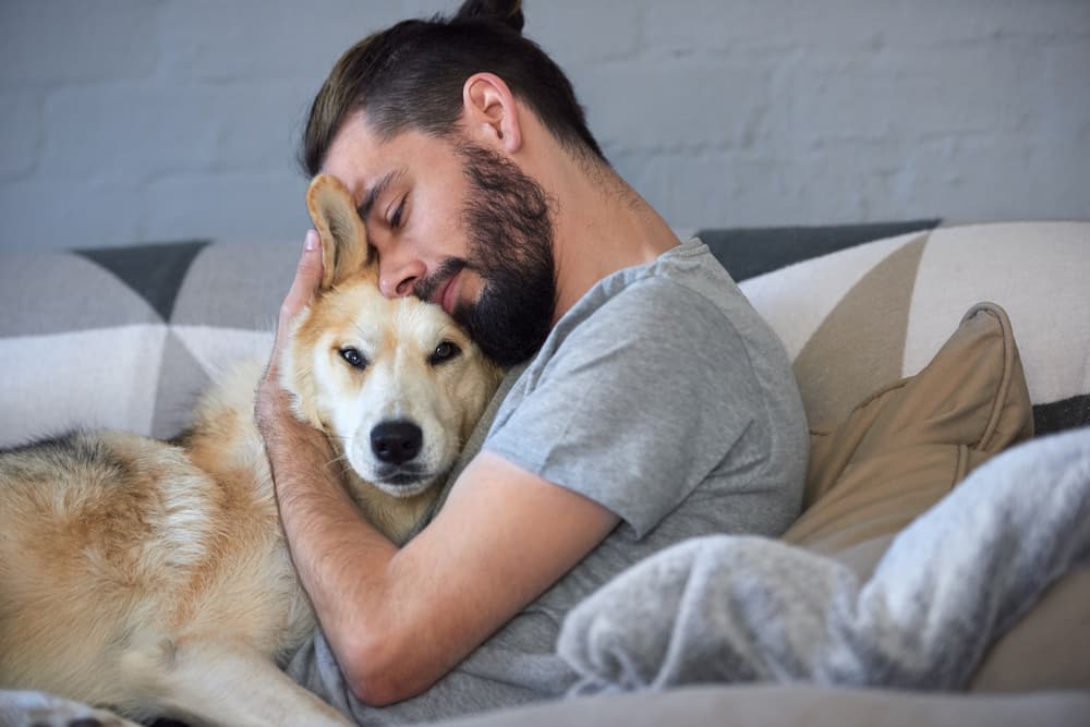 6 manías que solo los que vivimos con una mascota comprendemos