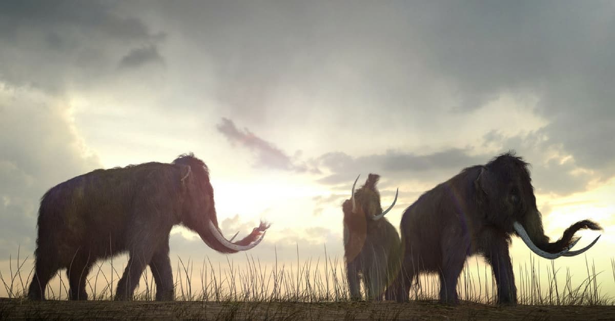 ¿Por qué los aguacates no deberían existir?