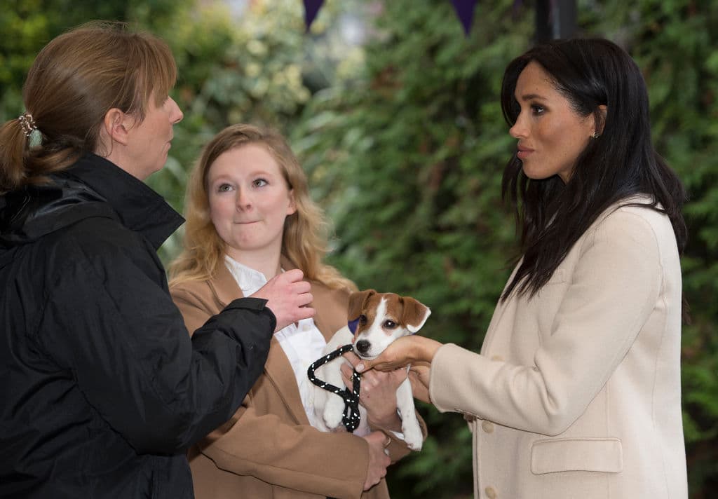 A Meghan Markle le dijeron «mujer gorda» y su reacción da la vuelta al mundo