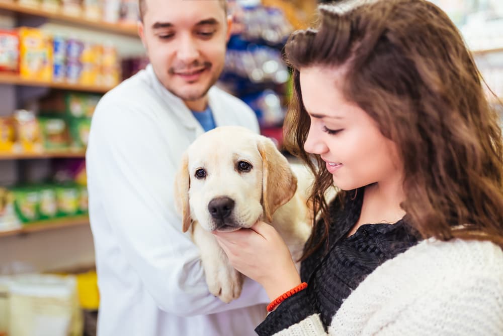 9 cosas que puedes hacer para que tu perro pase los mejores últimos días de vida