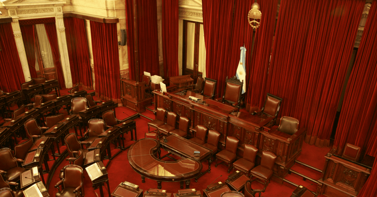 Los candidatos sorpresa en las elecciones PASO ¿Qué te parecen?