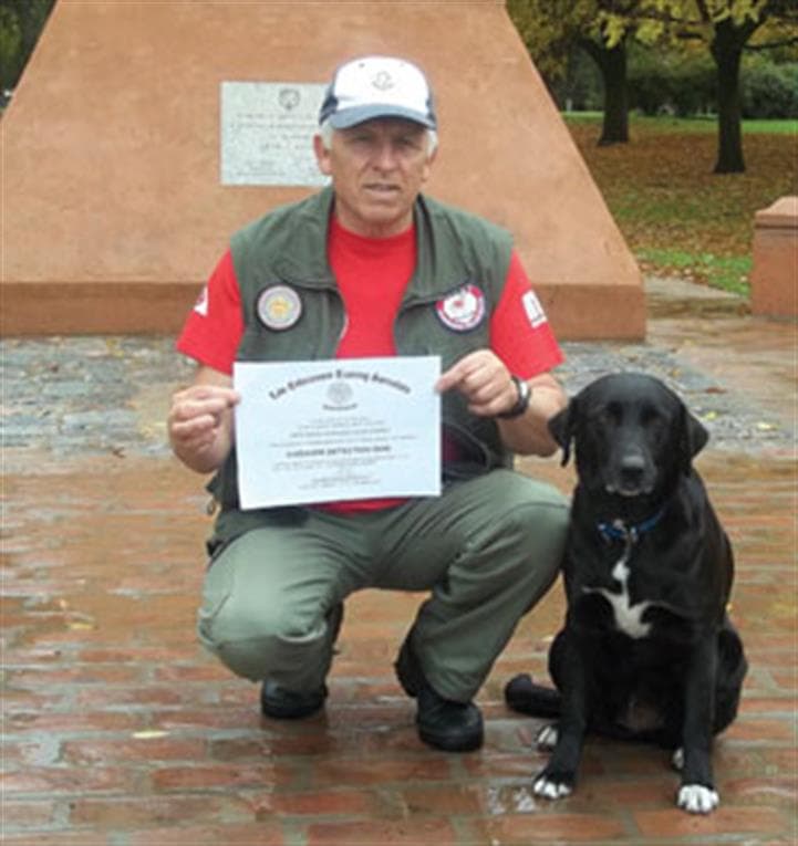 Camila, la perra que resolvió el enigma de un avión desaparecido