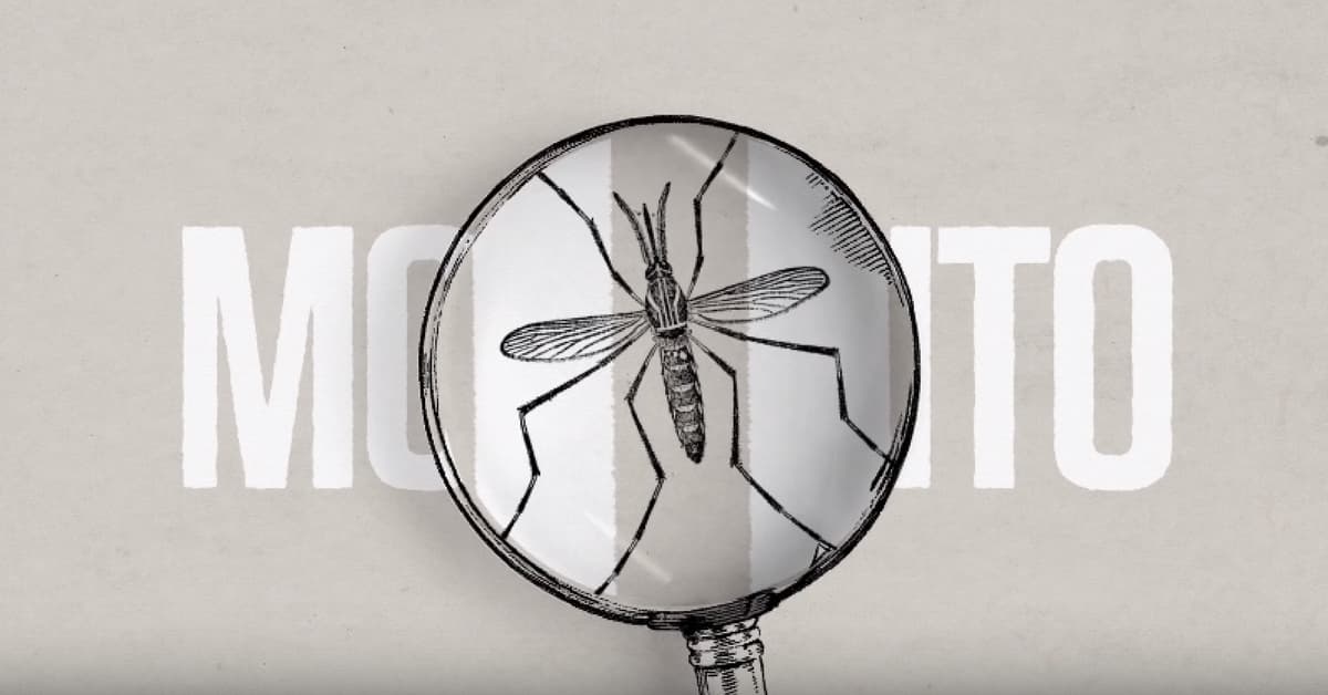 ¿Pokédex? Pronto identificaremos a los mosquitos peligrosos con esta asombrosa app