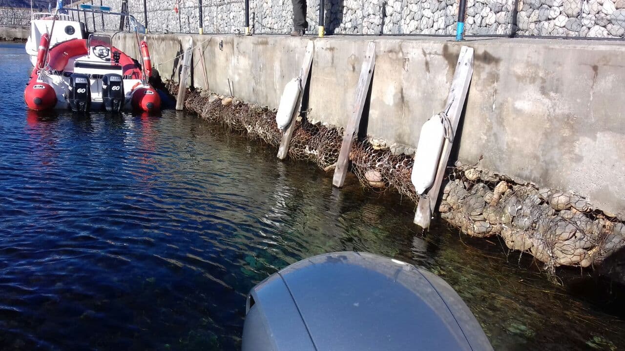 ¿Por qué una bacteria se «comió» un muelle en el sur argentino?