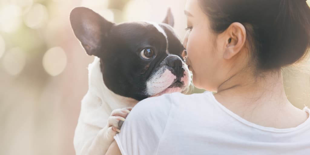 Los humanos son más compasivos con los perros que con otras personas, revela nuevo estudio