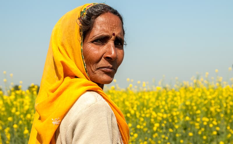 5 curiosidades sobre las clases sociales de la India