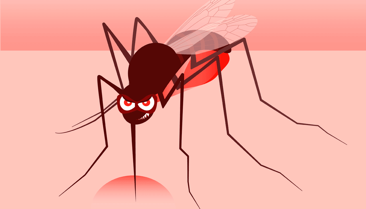Este es el tipo de sangre que los mosquitos prefieren, ¿es el tuyo?