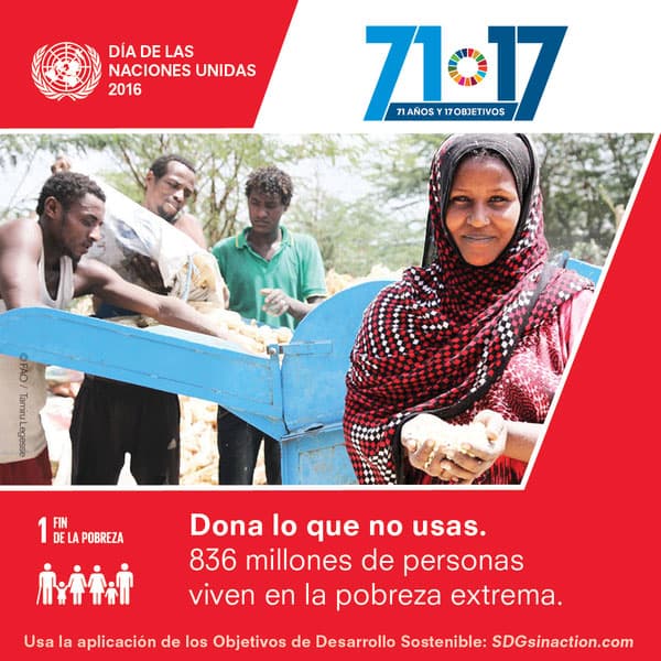 Día de las Naciones Unidas: ¿cómo conmemorarlo?