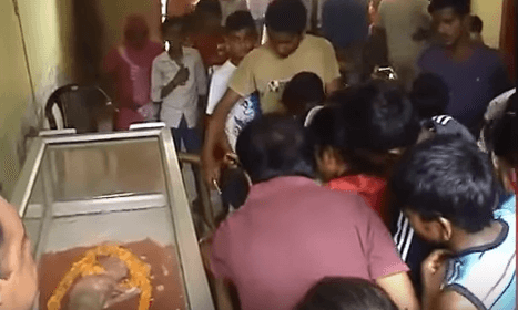 En India nació un novillo con sorprendentes rasgos humanos y la gente enloquece