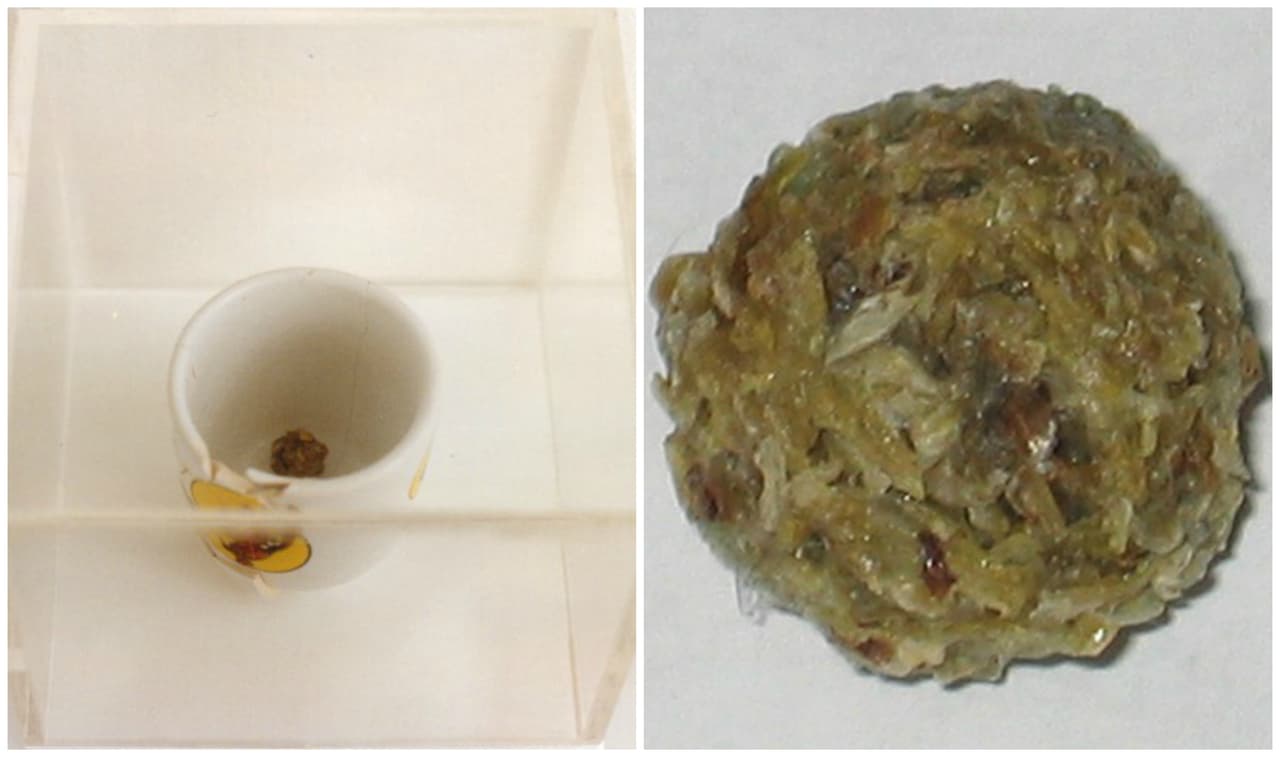 No apto para sensibles: estas son las 7 obras de arte más asquerosas de la historia