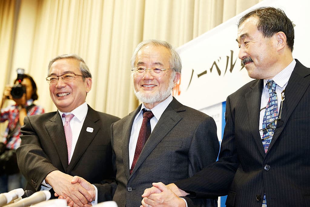 Toriko: Este manga descubrió la "autofagia" antes que los premios Nobel