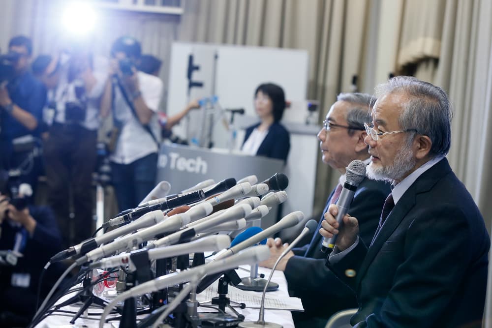 Yoshinori Ohsumi obtiene el Premio Nobel de Medicina por su trabajo de reciclaje celular