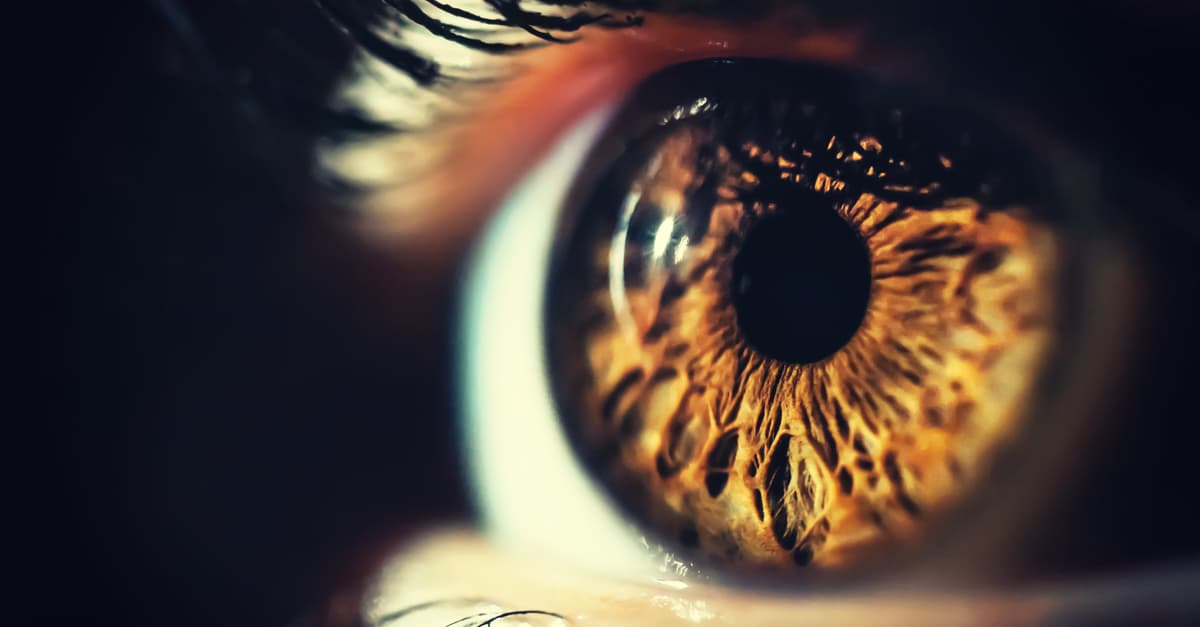 Tetracromatismo: hay 2 mujeres en el mundo que pueden ver 100 millones de colores