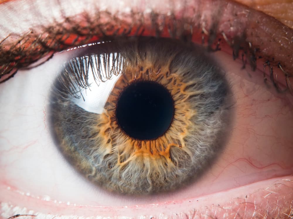 Los lentes de contacto biónicos que prometen darte una vista tan perfecta como la de un robot