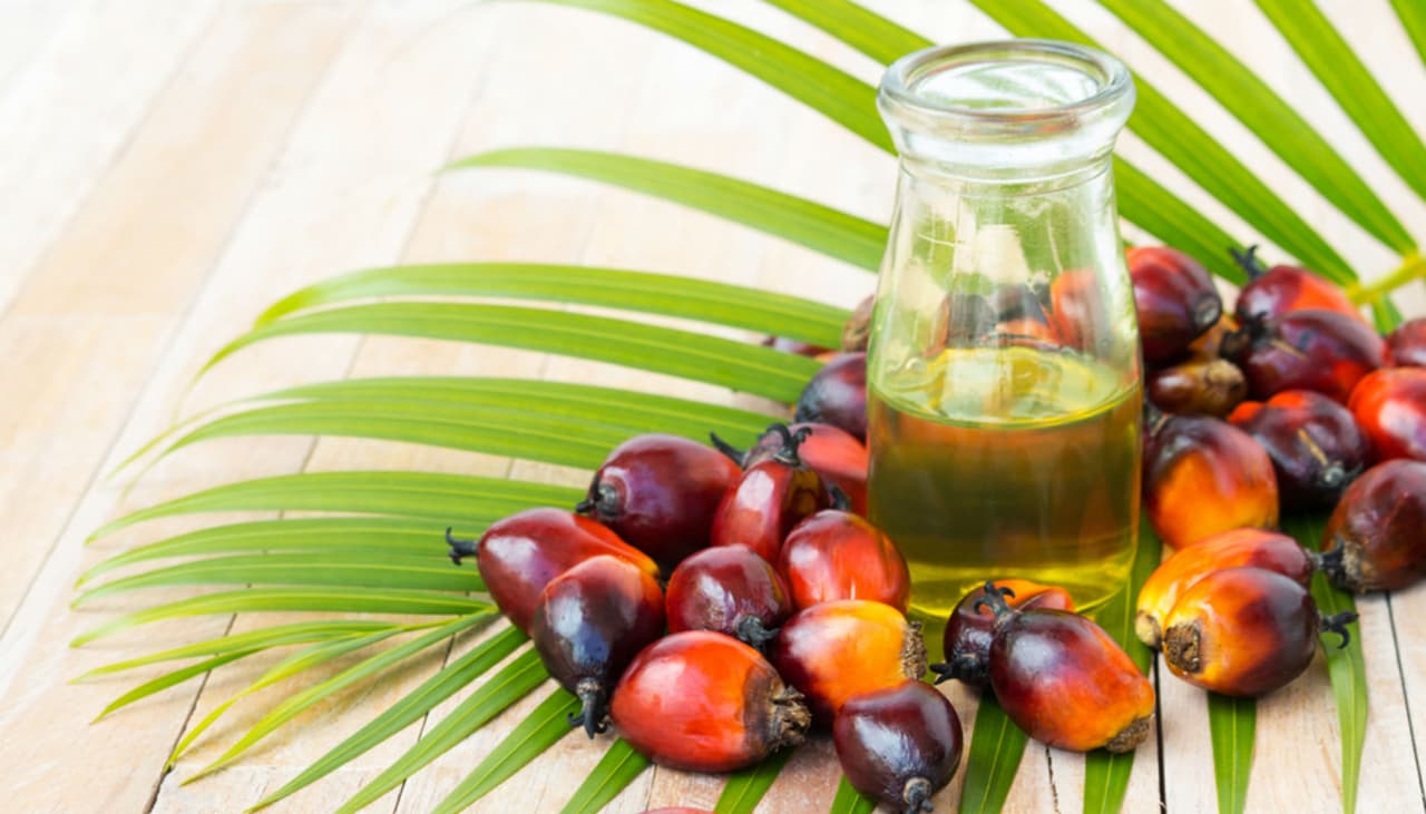 Las cobras gigantes están atacando a los hombres cada vez más a causa de una sustancia